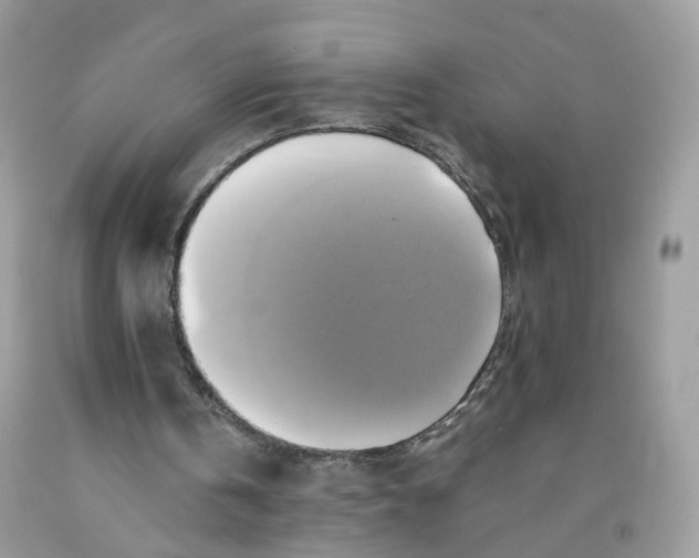 X0000091540146200709141502