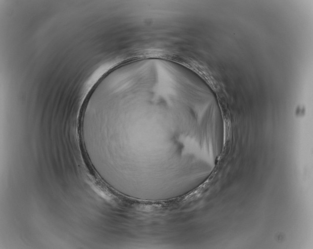 X0000091540147200709141502