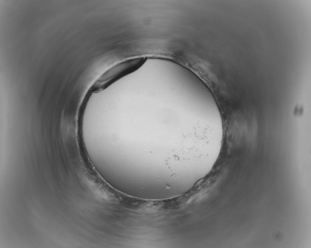 X0000091540148200709141502