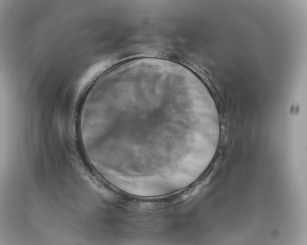 X0000091540149200709141502