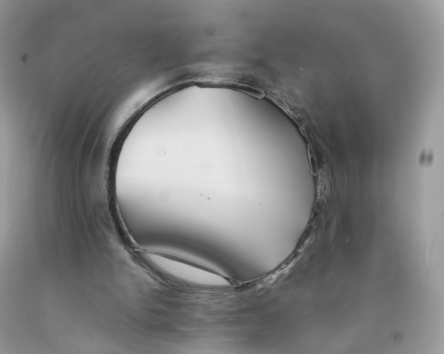 X0000091540150200709141502