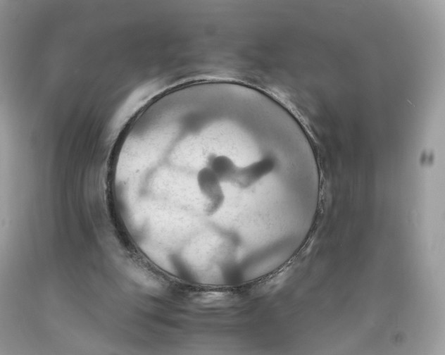 X0000091540151200709141502