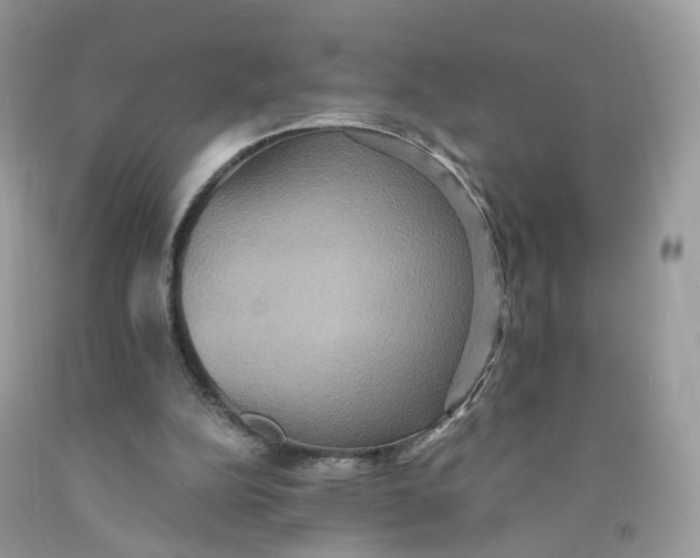 X0000091540152200709141502