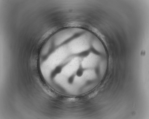 X0000091540153200709141502