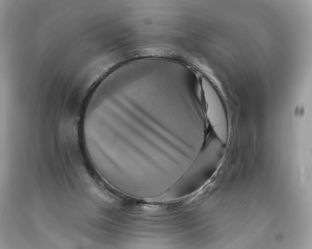 X0000091540154200709141502