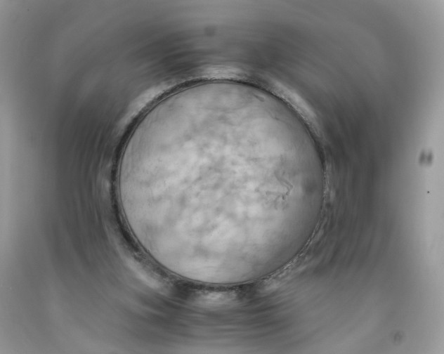 X0000091540155200709141502