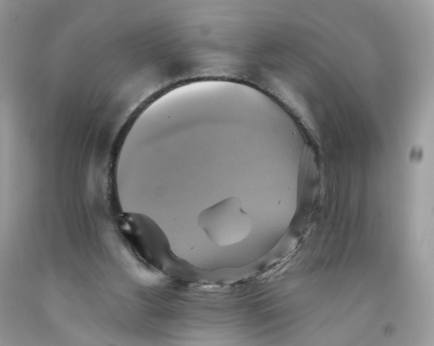 X0000091540156200709141502