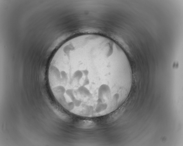 X0000091540159200709141503