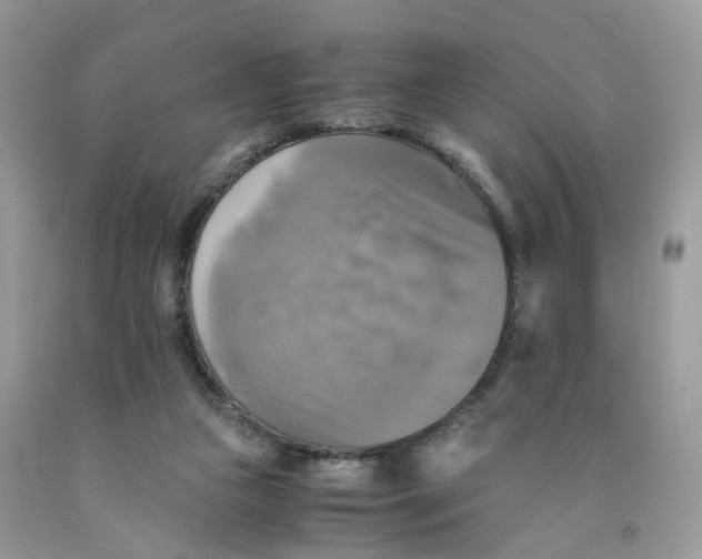 X0000091540161200709141503