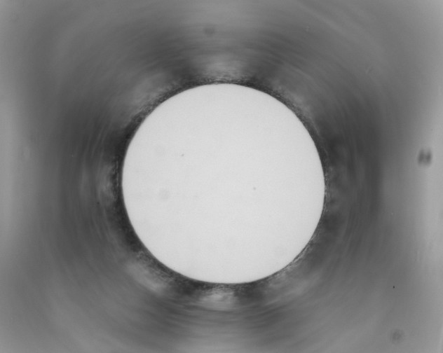 X0000091540162200709141503