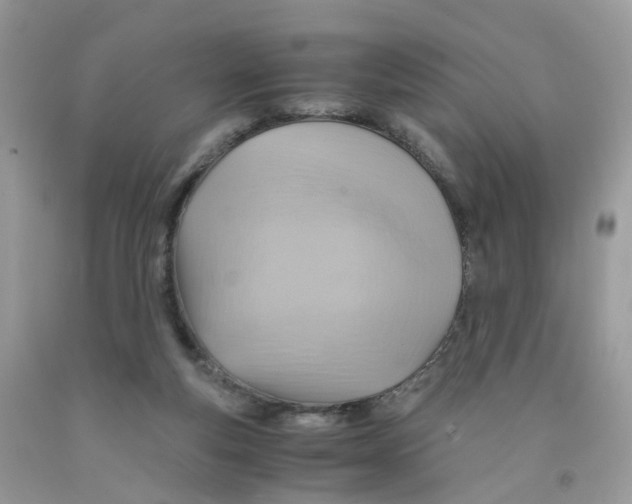 X0000091540163200709141503