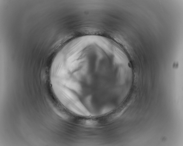 X0000091540165200709141503