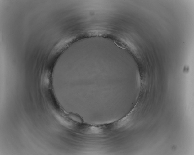 X0000091540166200709141503