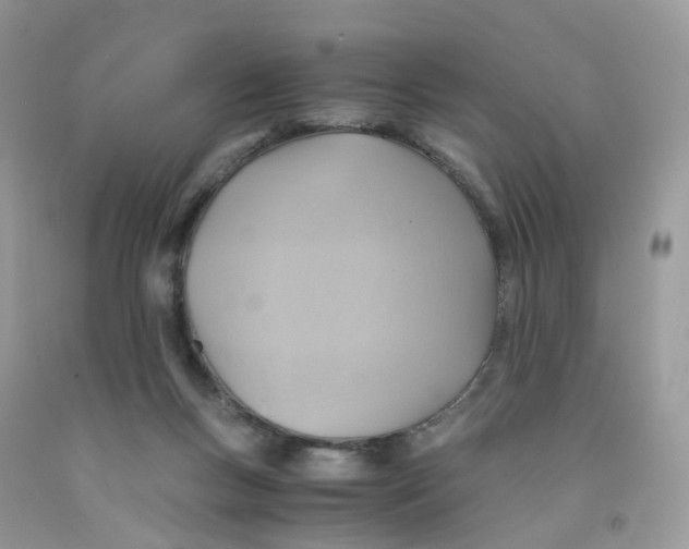 X0000091540167200709141503