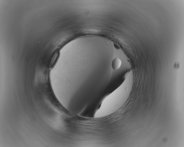 X0000091540168200709141503