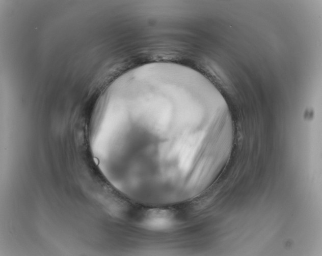 X0000091540169200709141503