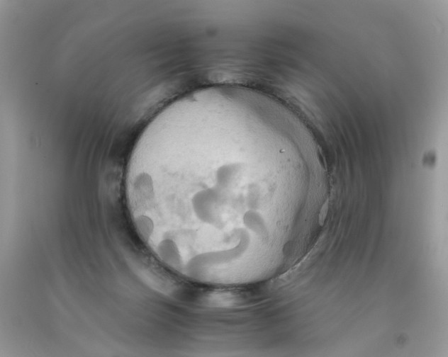 X0000091540171200709141503
