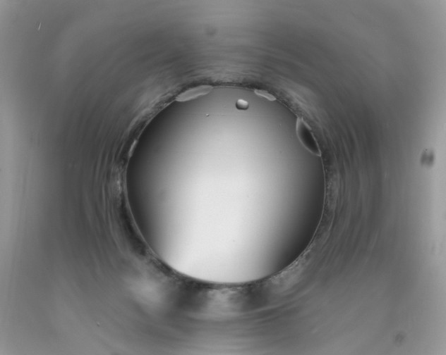 X0000091540172200709141503