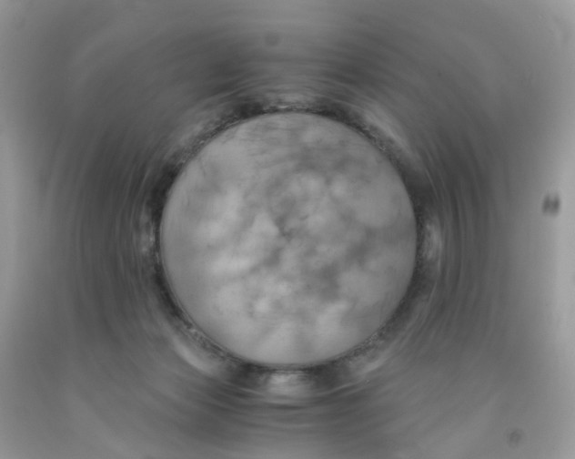 X0000091540173200709141503