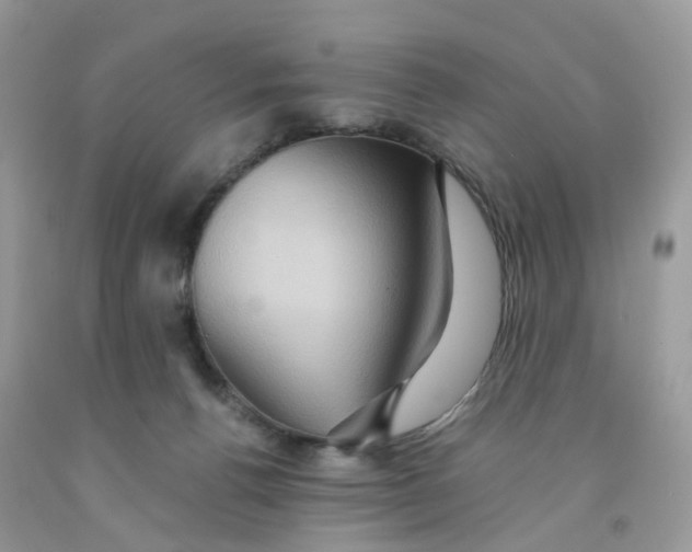 X0000091540176200709141503