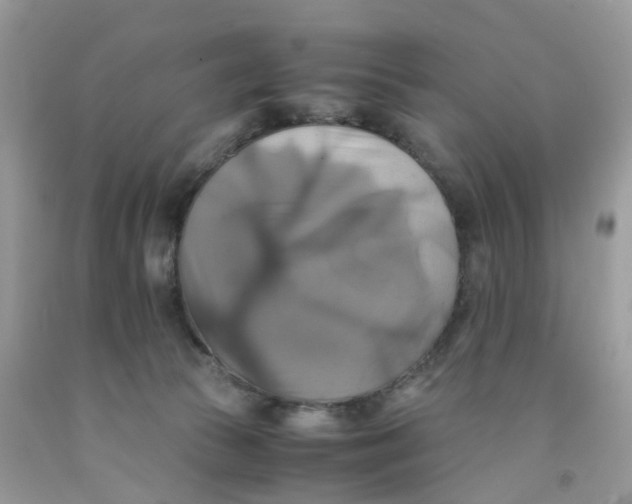 X0000091540177200709141503