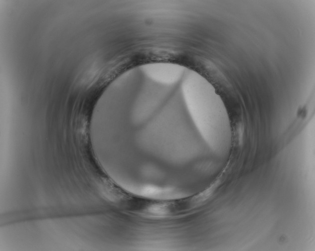 X0000091540178200709141503