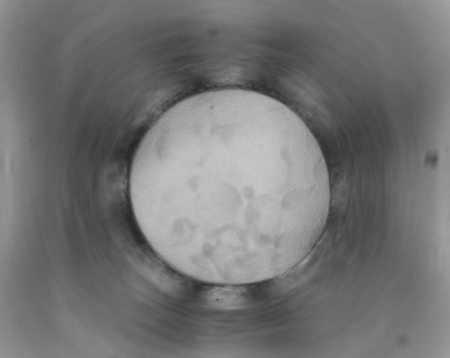 X0000091540179200709141503