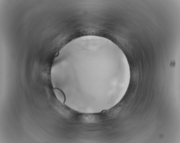 X0000091540181200709141503