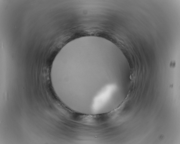 X0000091540182200709141503