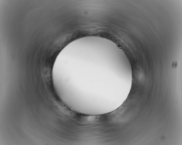 X0000091540184200709141503
