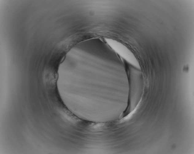 X0000091540186200709141503