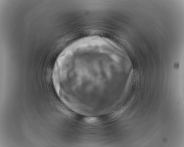 X0000091540189200709141503