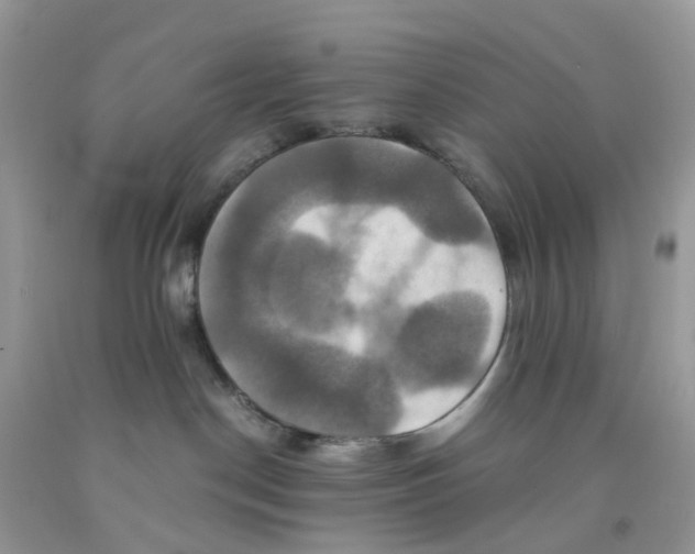X0000091540190200709141503