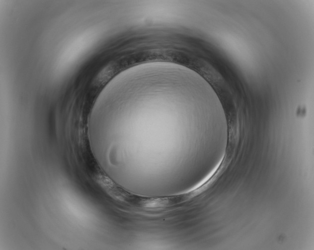 X0000091540191200709141503