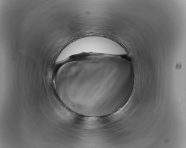 X0000091540192200709141503