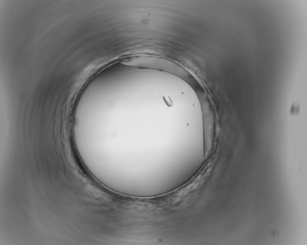 X0000091540193200709141502