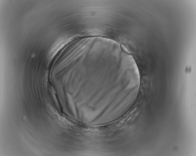 X0000091540194200709141502