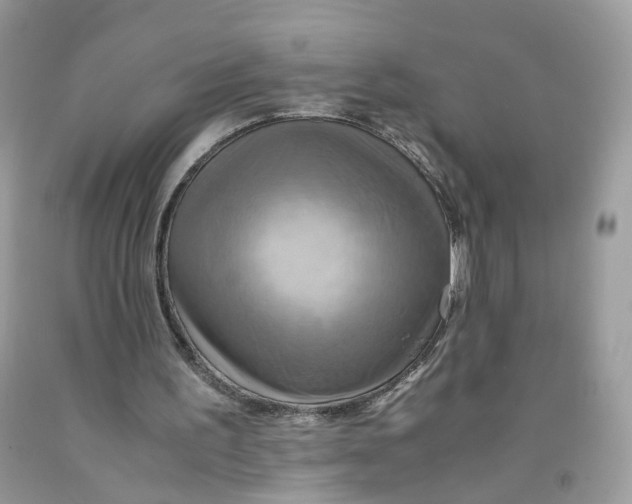 X0000091540195200709141502