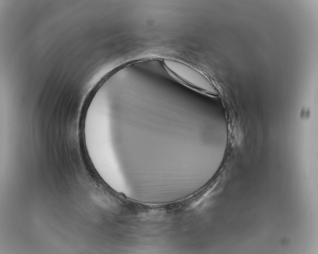 X0000091540196200709141502