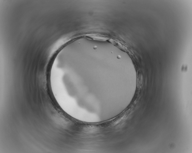 X0000091540198200709141502