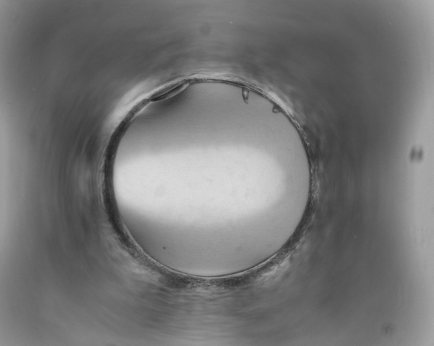 X0000091540199200709141502