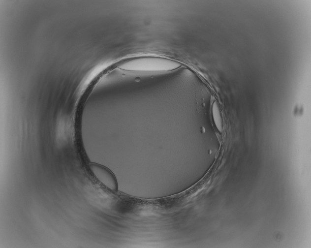 X0000091540200200709141502