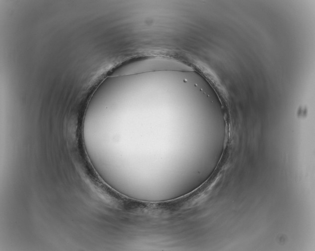 X0000091540201200709141502