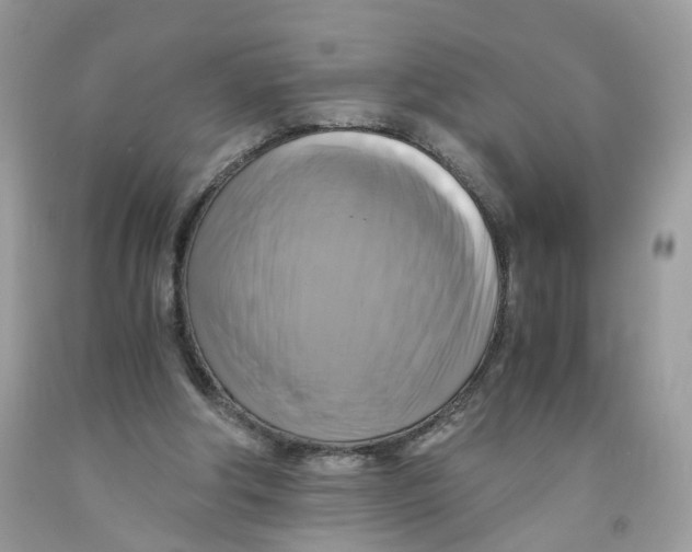 X0000091540202200709141502