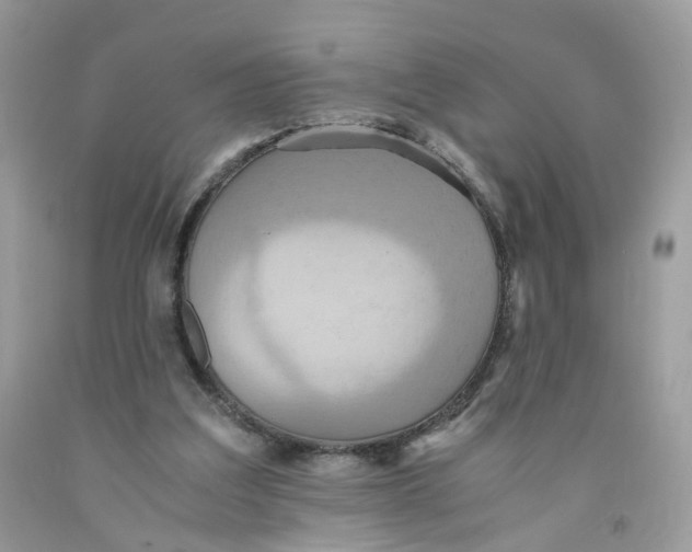 X0000091540203200709141502