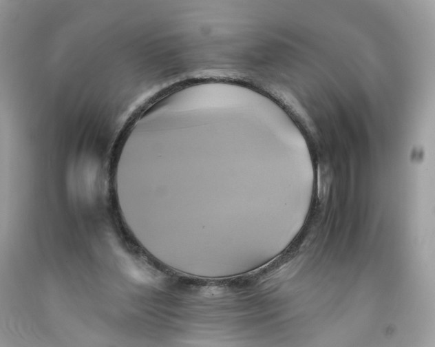 X0000091540204200709141502