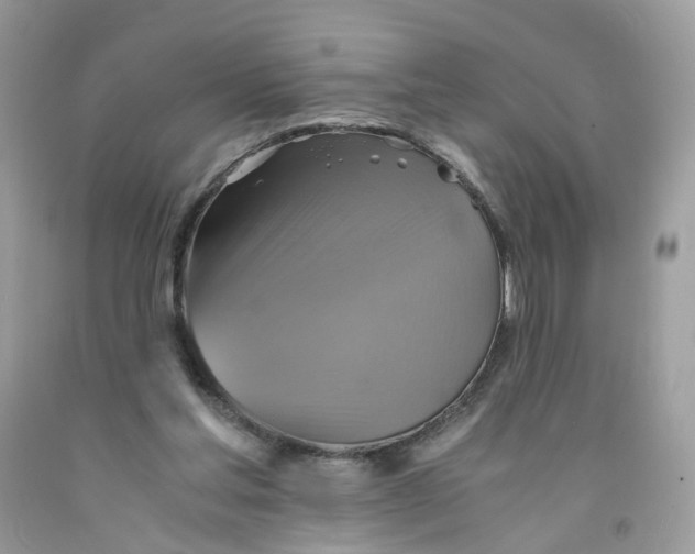 X0000091540205200709141502