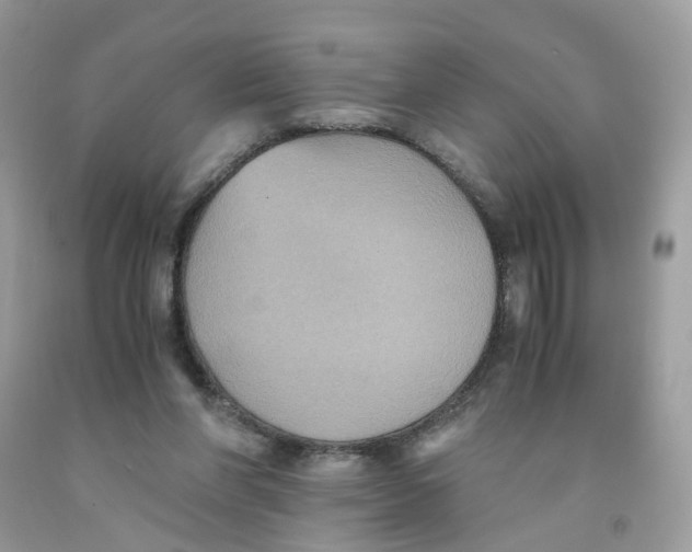 X0000091540206200709141502