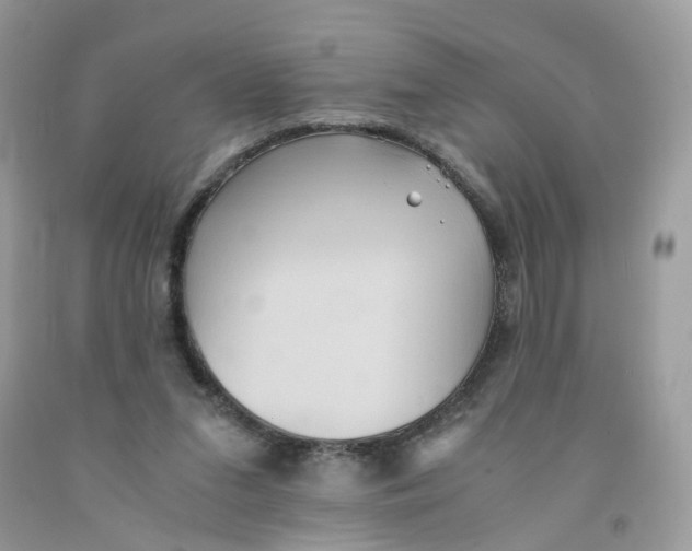 X0000091540207200709141502