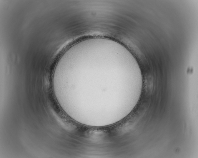 X0000091540208200709141502